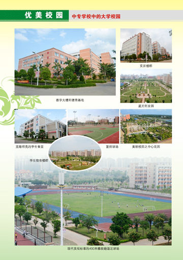 球探网页版,球探（中国）官方2016年招生简章6